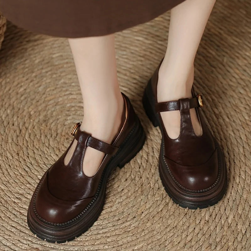 Brown Farisse T-bar Mary Janes shoes by THE WHITMORE FAMILY featuring classic T-strap design and comfortable footwear style.