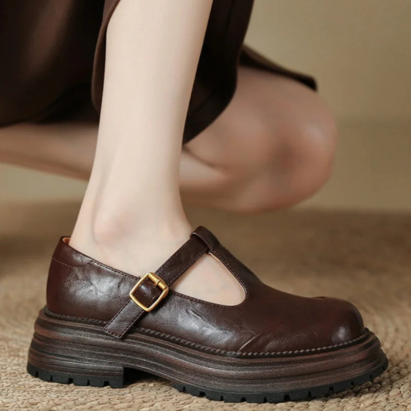 Brown Farisse T-bar Mary Jane shoes by THE WHITMORE FAMILY featuring classic T-strap design for kids' casual wear.
