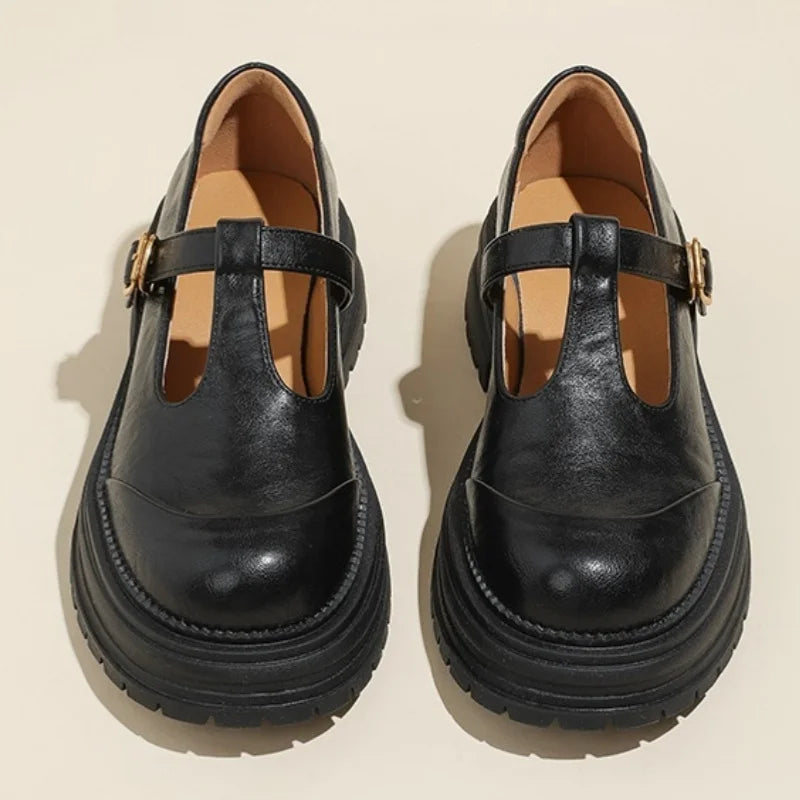 Brown Farisse T-bar Mary Jane shoes by THE WHITMORE FAMILY featuring classic T-strap design and comfortable footwear style.